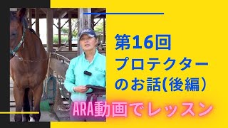 【動画で乗馬レッスン#16-2】プロテクターのお話（後編）｜神戸からすぐの乗馬クラブ明石乗馬協会