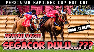 BEGINILAH KECEPATAN SAPI EX. MACAN POTE SEKARANG!!!!! PERSIAPAN EVENT DRT 2025