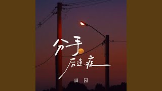 分手后遗症 (伴奏)