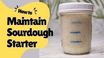 Learn How to Feed Sourdough Starter for Consistently Good Sourdough Breads