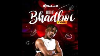 DJ SELEX BEST OF BHADBOI OML MIX