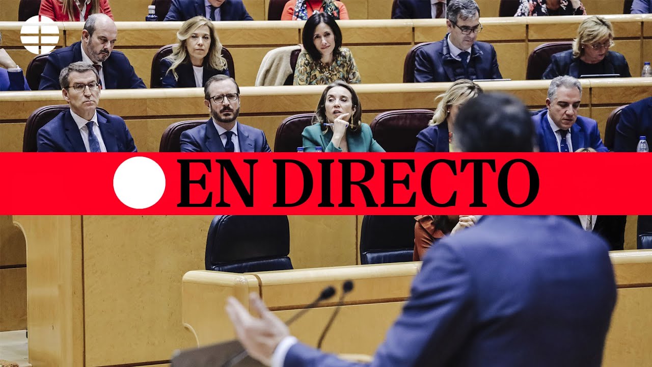 🔴 DIRECTO | Cara a cara entre Sánchez y Feijóo en el Senado - YouTube