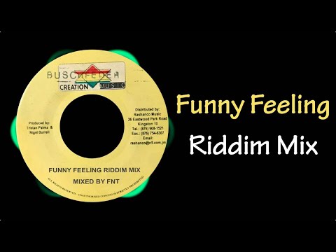 レゲエ VA : FUNNY FEELING / 曲目◎音質◎ hqdefault.jpg