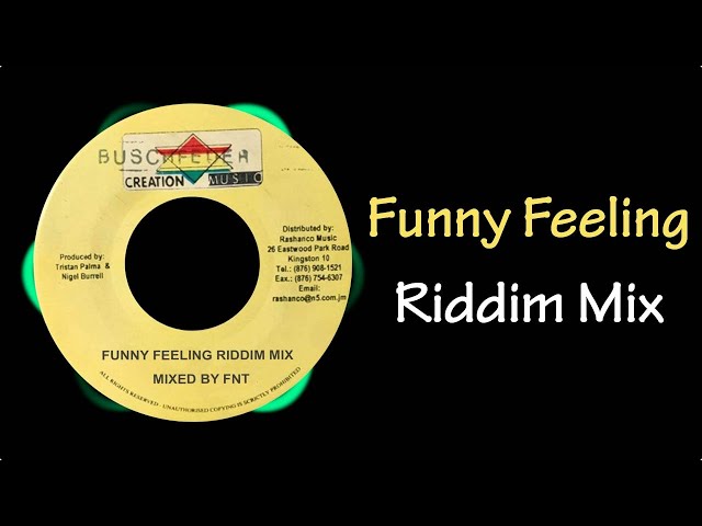 レゲエ VA : FUNNY FEELING / 曲目◎音質◎ YouTube
