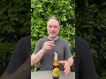 Leffe Blonde: 15 Second Beer Review  #craftbeerreview #beerbrand #beer