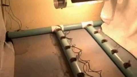 HPS LED Comparison Video Prototype/Introduction