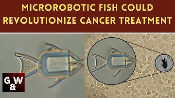 Shape-changing microrobots deliver chemo drugs directly to cancer cells