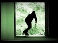 Andrew Reynolds Emerica Stay Gold B-sides Bowie edit