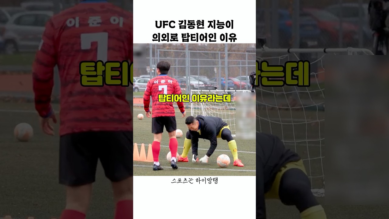 의외로 김동현의 지능이 탑티어인 이유