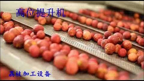 litchi peeling equipment