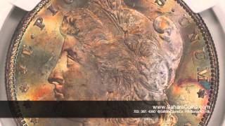 Morgan Silver Dollars - 1879 Morgan Silver Dollar, Ms 65