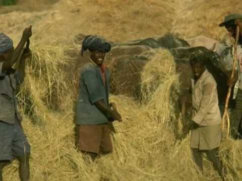 Nourrir 9 milliards d'humains - YouTube