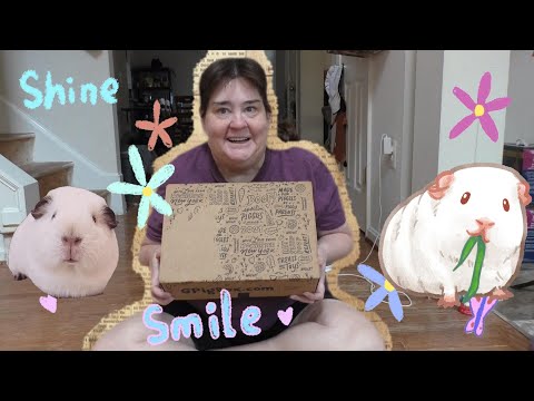 GPIG Box For Guinea Pigs September 2025! 😍 - YouTube