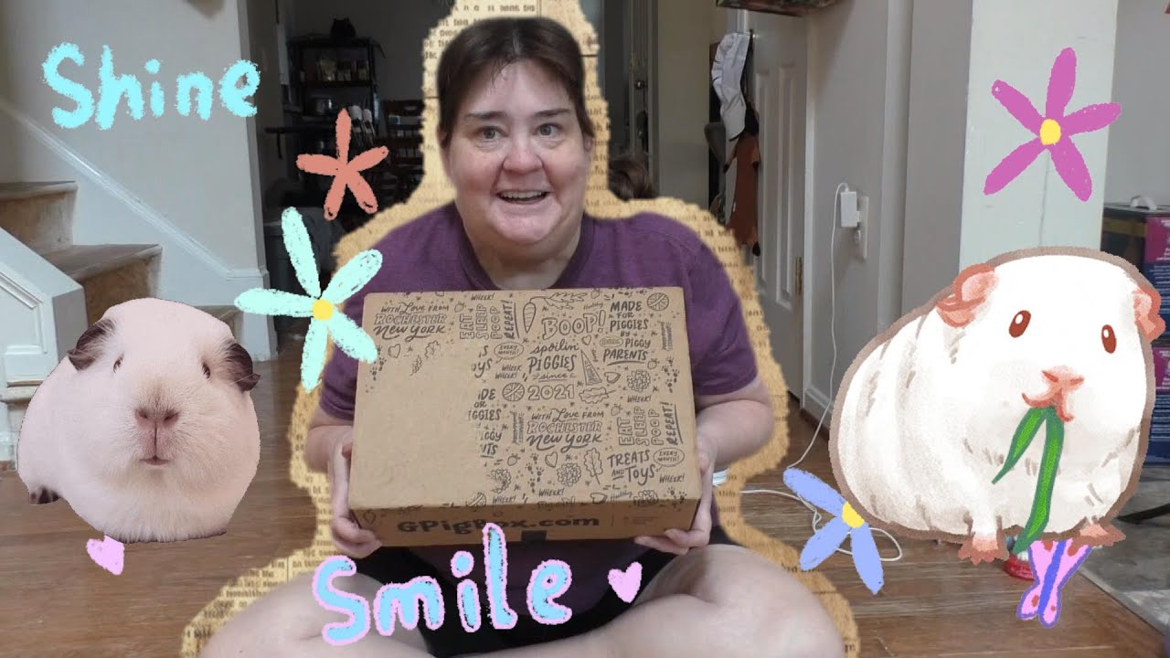 GPIG Box For Guinea Pigs September 2025! 😍 - YouTube