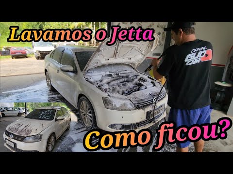 We washed the Jetta after 6 years in the yard. Did it save the paint job?