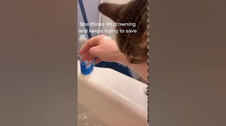 Protective Kitty Wants to Save Human from Bathtub || ViralHog