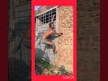funny video 😃😃# #funnyshorts #funny