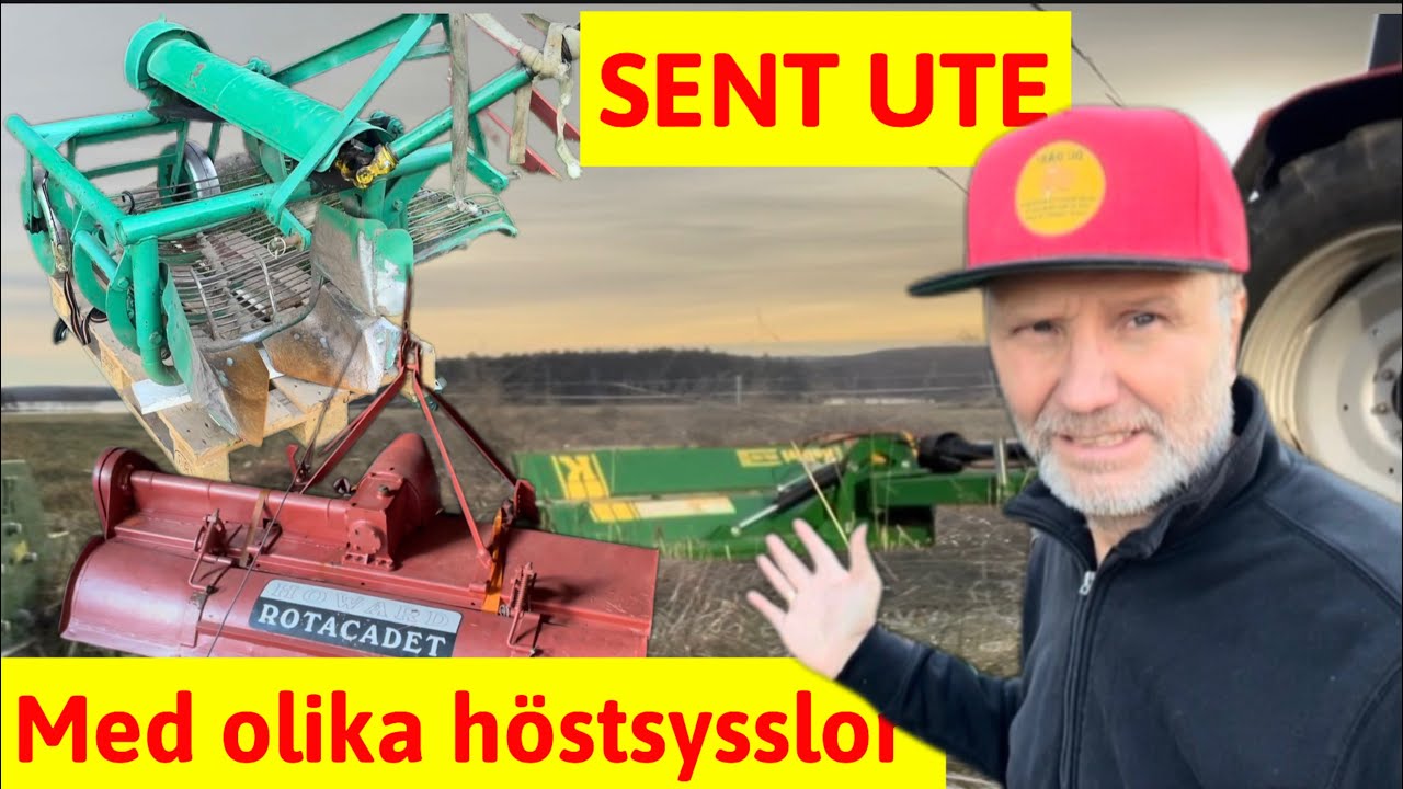 Hinner ni med allt ni tänkt? Blandade höstsysslor som drog ut på tiden. 