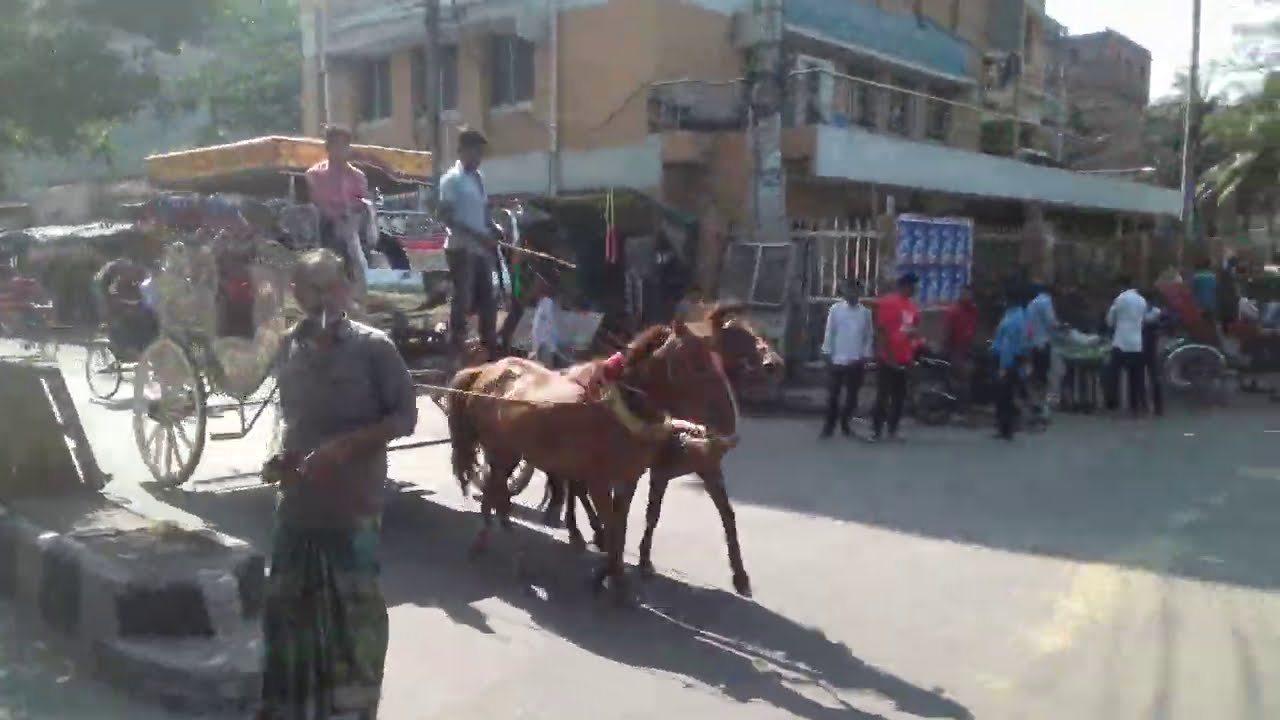 Dhaka,Bangladesh,বাংলাদেশ,City Centre,Horses,Cycle Rickshaws,Traffic