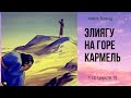 К недельной главе Ки Тиса. Гафтара. Элияѓу (Илия) на горе Кармель. 1 Царств 18.