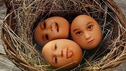 eggs face photoshop manipulation #photoshop