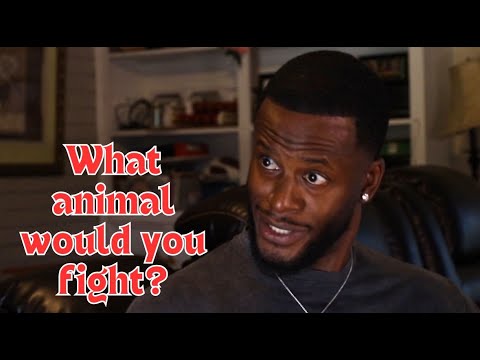 What Animal Would You Fight?