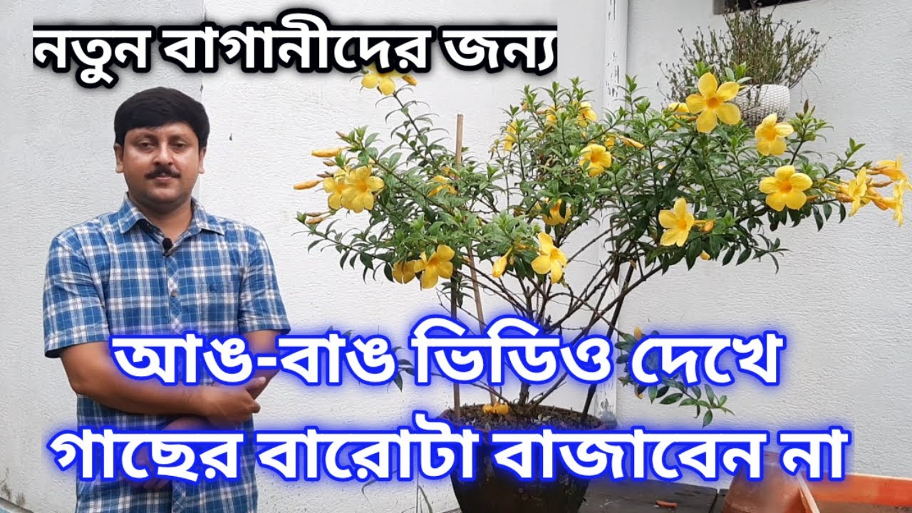 নতুন বাগানীদের জন্য কিছু পরামর্শ || খুব সহজে গাছ করুন || My Garden Raju Paul
