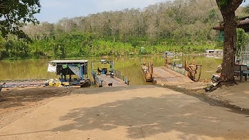 🎣 câu cá diêu hồng , lăng , chạch thiên nhiên sông đồng nai ✅