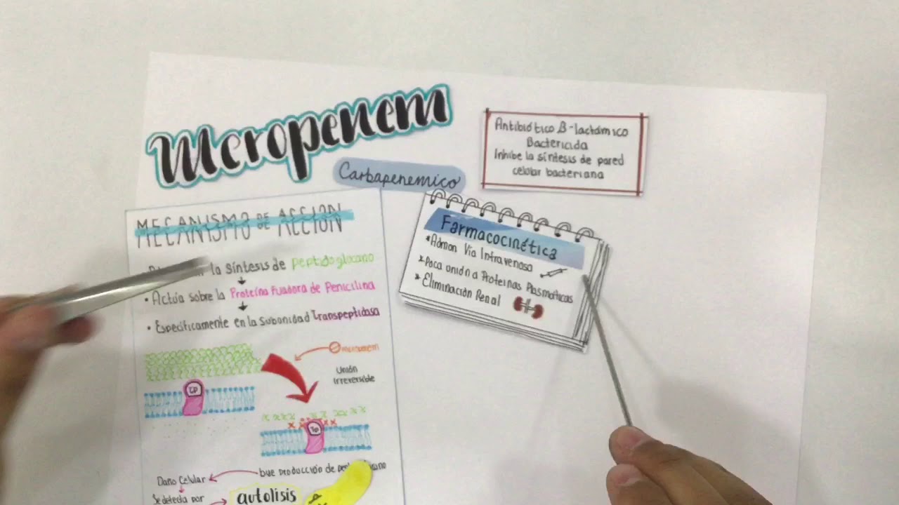 Meropenem - YouTube