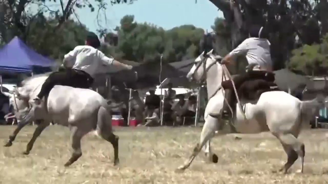 Campereando TV 2025 Programa Nº 43