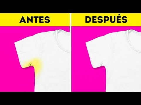 21 SOLUCIONES INTELIGENTES PARA SOLUCIONAR PROBLEMAS COTIDIANOS manualidades de animales