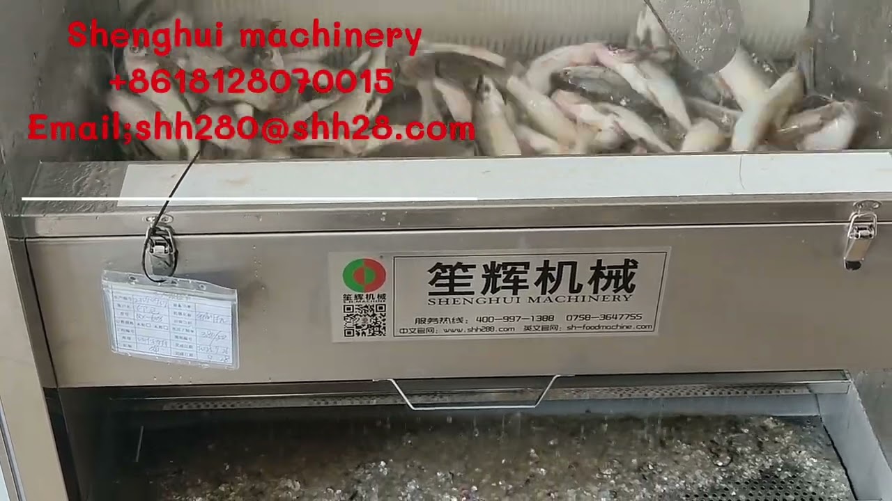 QX 608 Fish scaling/Fish scale removal machine can use for four major fish