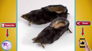 Most Unusual Shoes You Wont Believe Exist