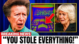 They Scanned Camilla's Vault With AI... What They Found Inside Belonged To Diana