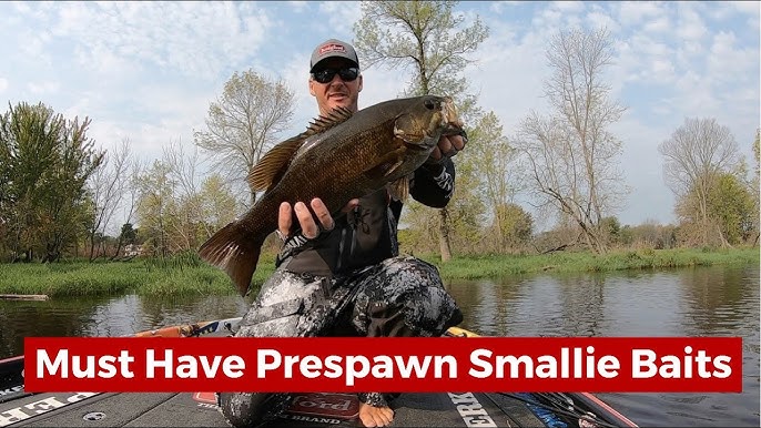 Catching Big Pre-Spawn Smallmouth on Dale Hollow Lake with Guide