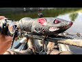 best fishing pole combo for bass Best Rod and Reel Combos for 2026