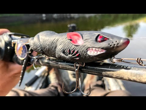 This New Rat Lure Caught A River MONSTER!
