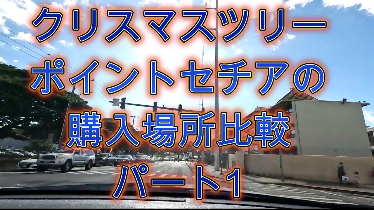 アロハ、ホノルルでクリスマスツリーとポイントセチアを購入場所を比較、ホームデイーポ　VS　ロウズ。