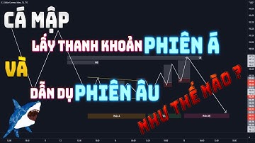 Cá mập dẫn dụ ở Phiên Âu và lấy thanh khoản ở Phiên Á như thế nào ? | Order Block