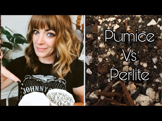 Pumice vs Vermiculite-How they Compare - Agri Thai