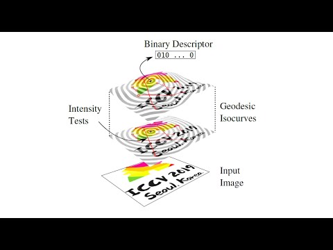 ICCV 2019 Video: A Geodesic-Based Binary Descriptor Invariant to Non-Rigid Deformations