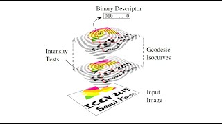 ICCV 2019 Video: A Geodesic-Based Binary Descriptor Invariant to Non-Rigid Deformations