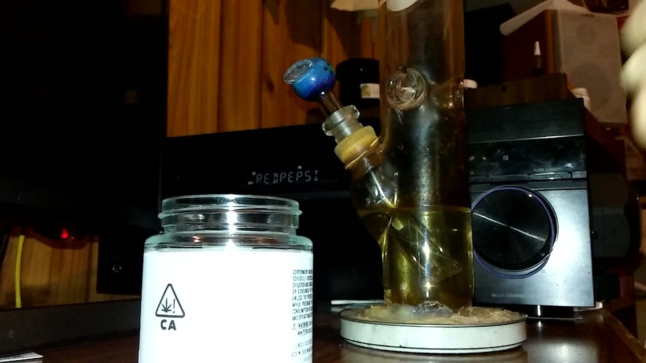 Sherbhead - Local Cannabis Co