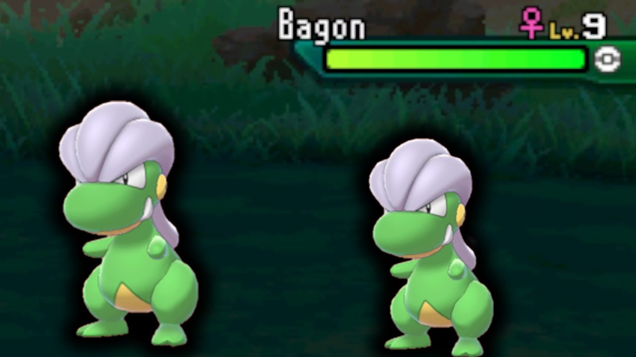 2 SHINY Pokmon AT THE SAME TIME