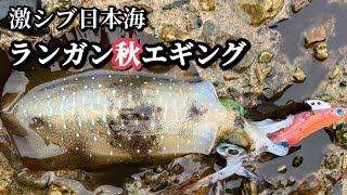 Autumn Eging in the Extremely Chilling Sea of ​​Japan - October