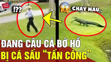 Đang câu cá, người đàn ông bất ngờ bị 