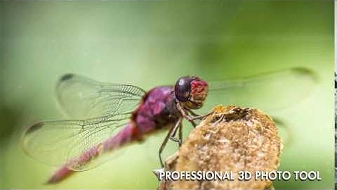 VoluMax - 3D Photo Animator After Effects Template