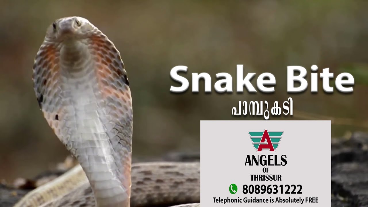 അത്യാഹിത ഘട്ടങ്ങളിൽ ജീവൻ-രക്ഷാ ദൗത്യവുമായി പറന്നു വരുന്ന മാലാഖ നമ്മളിൽ ആരുമാകാം.