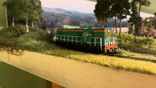 SM31-150 Piko i cemenciaki  Schlesienmodelle i Albert Modell