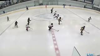 Sc Flyers Alex Goal 1, Ist Charles, Adam Great Work Keeping Puck In Play. Vs Jr Firebirds 1 Scaha